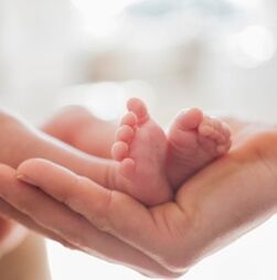 Centros de Elevado Desempenho em Obstetrícia vão começar a funcionar em 2026