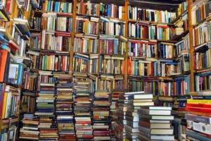 Os melhores livros de 2015 segundo os críticos do GPS