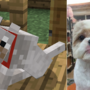 Transforme o seu cão numa personagem do Minecraft