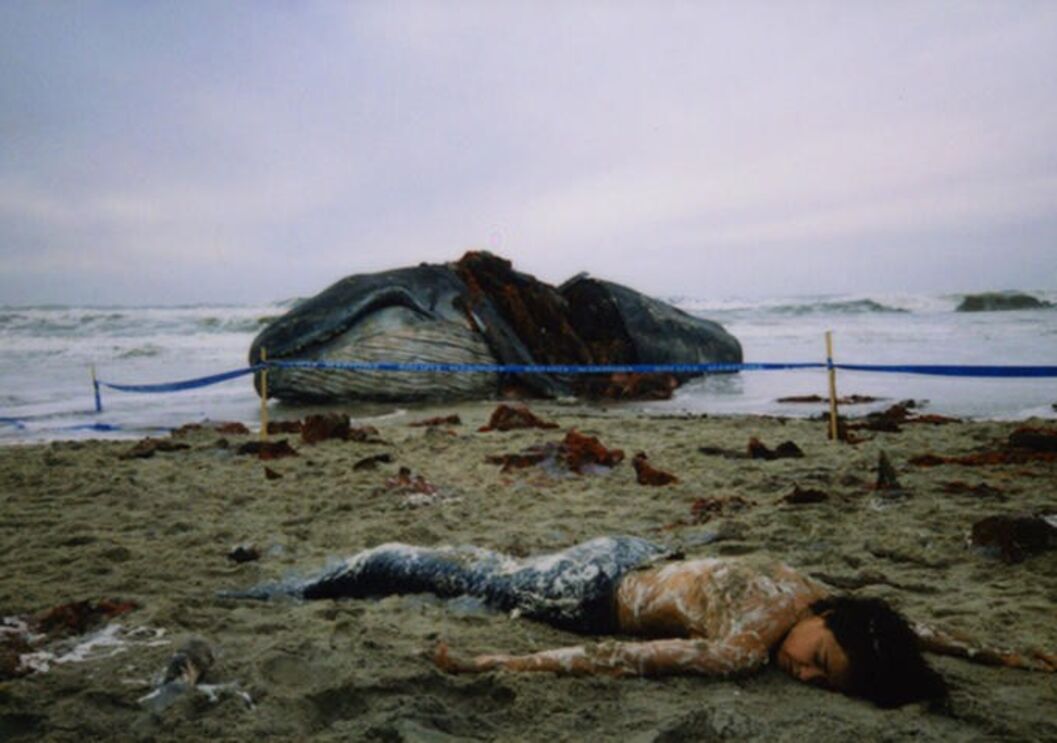 Miguel Gomes soma e segue no Festival de Cannes