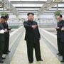 Kim Jong-un furioso com falta de lagostas em visita a viveiro