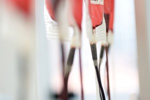 Cardiologistas querem receita renovável para medicamentos anticoagolantes orais diretos