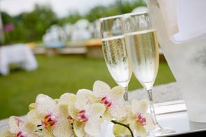 Doze vinhos brancos para enfrentar o calor