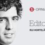 Sanções e realismo  já ou a pena perpétua
