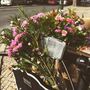 Saudade, uma flowershop de bicicleta