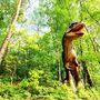 Prémios Ig Nobel: Picadas no pénis e galinhas que andam como dinossauros