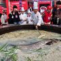 Festival gastronómico mostra sopa de peixe 'made in China'