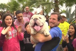 Otto_skateboarding_bulldog_GuinnessWorldRecords.mp4