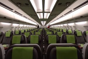 TAP_Jingle_Bells.mp4