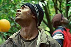 Crítica de cinema: Mediterranea