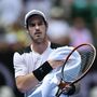 Murray vence Ferrer a caminho das meias-finais