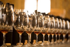 Palácio da Bolsa no Porto vai encher-se de vinhos
