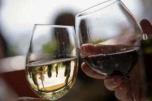 Douro e Alentejo em destaque nos Óscares do vinho