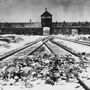 Um em cada 20 britânicos não acredita que o Holocausto tenha acontecido