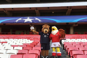 Bernie conhece a águia Vitória e passeia pela Baixa 