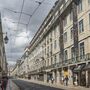 Câmara de Lisboa já recebeu mais de 1.000 queixas relativas a baratas