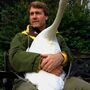 Cisne abraça o homem que o salvou