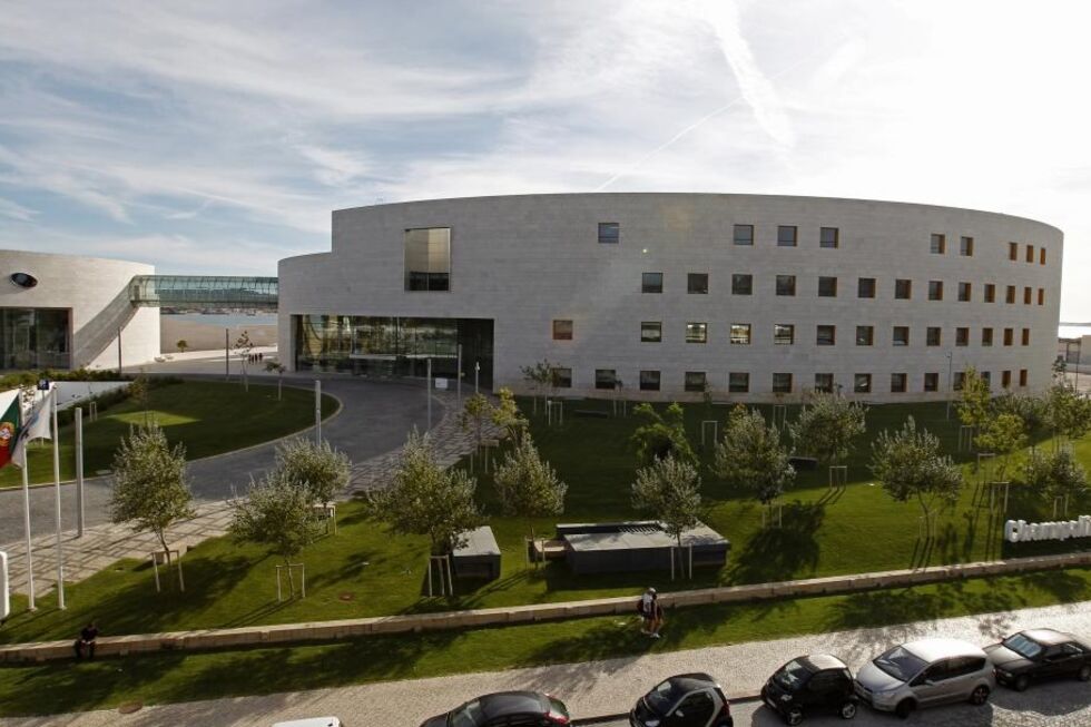 Investigadores da Fundação Champalimaud foram os galardoados com Prémios Pfizer 2025 