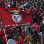MEO passa a ter Benfica TV