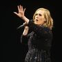 Adele interrompe concerto para repreender fã