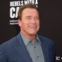 Schwarzenegger perseguido por elefante 