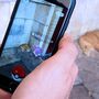 Pokémon GO já chegou oficialmente a Portugal