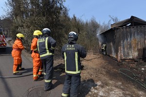Madeira realoja provisoriamente 51 famílias