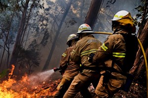 'Não entrou um tostão' na Madeira para vítimas dos incêndios