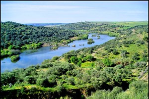 GPS contra o calor: Conheça o Guadiana por terra