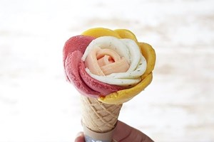 Gelados para a D'Bandada inteira
