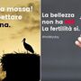 Fertilidade: Fiasco do governo italiano causa polémica