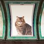 Gatos invadem estação de metro de Londres