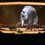 Companheiro de Adele faz surpresa durante concerto