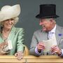 Camilla Parker Bowles adorava festas e namorados