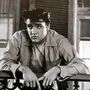 Documentário inédito sobre Elvis Presley na HBO