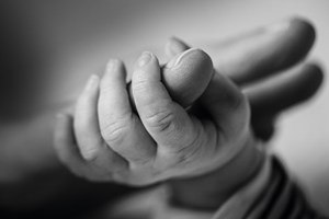 Descoberta proteína que pode melhorar tratamentos de fertilidade