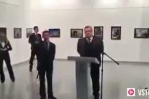 DLI_E9iT0yBlBqt-.mp4