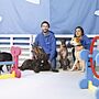 Mestre Patas, a nova creche para cães de todas as idades 