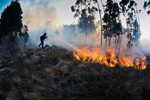 PSD considera 'irrisório' valor que a Câmara atribui aos bombeiros