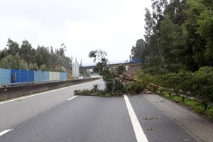 Gaia: Carros já podem 'fugir' ao pórtico de portagem na A29