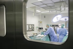 Transplante: Nunca foram colhidos tantos órgãos como em 2016