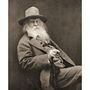 A novela que afinal Walt Whitman escreveu