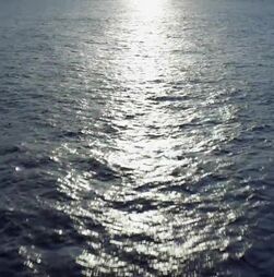 Tratado do Alto Mar é 'marco histórico' para o oceano