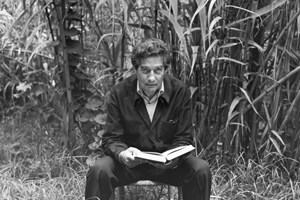 Crítica de livros: Vislumbres da Índia