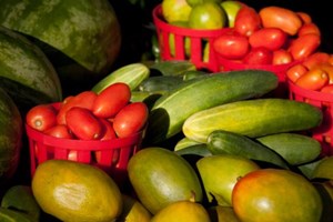Veganos têm maior risco de sofrer fracturas ósseas, indica estudo