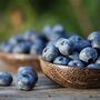 Mirtilo tem forte impacto no fígado e pode prevenir diabetes e obesidade