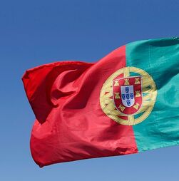 Lei da Nacionalidade. O que muda e por que está a provocar críticas?