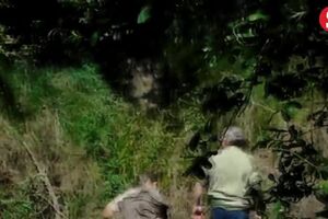 HomeAFOGARmulher10ABR17_n.mp4