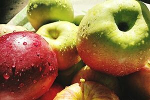 É preciso cuidado quando se oferece maças a crianças pequenas 