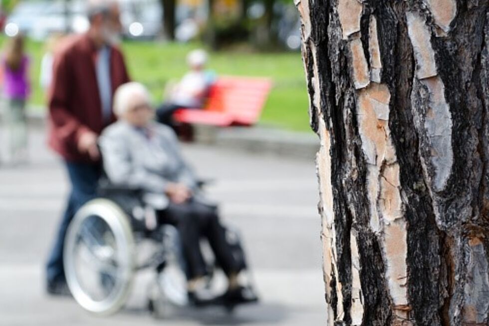Medidas de inclusão para pessoas com deficiência na Cultura entram em vigor em janeiro
